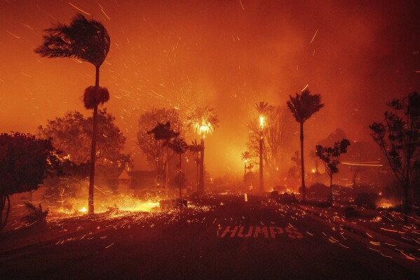 What's The True Cause of The LA Fires? It’s Not What You Think